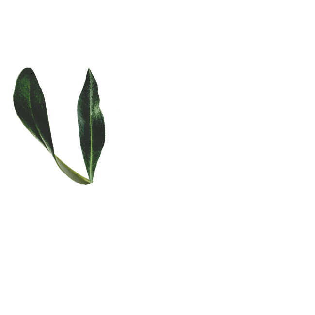 OliveOil