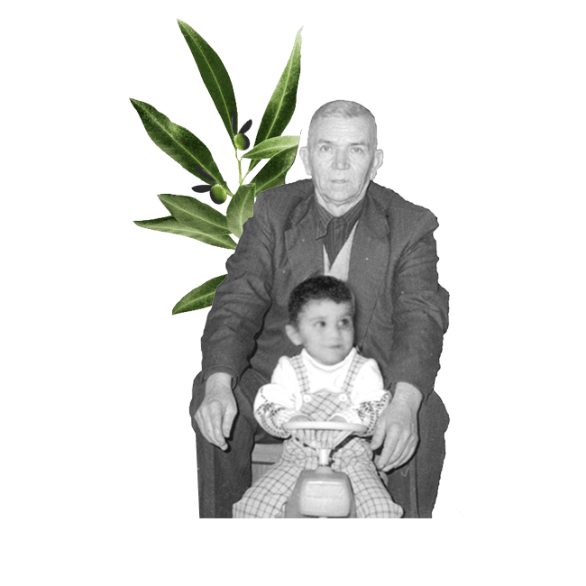 OliveOil