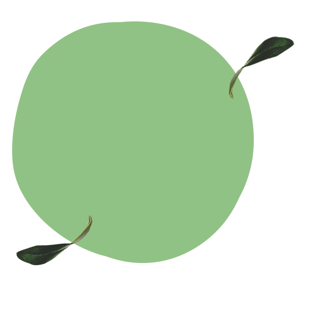 OliveOil