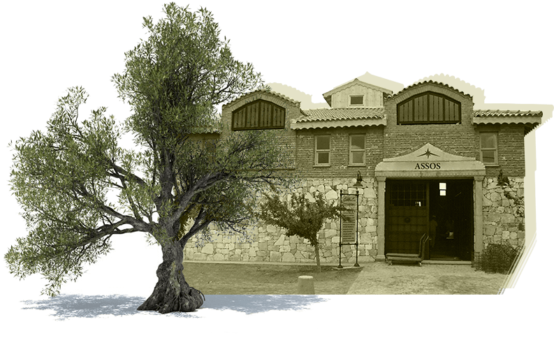Assos Gurme