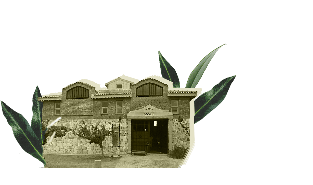 Oil Mill