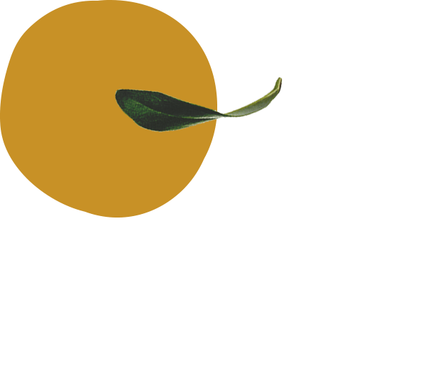 OliveOil