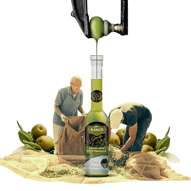 OliveOil