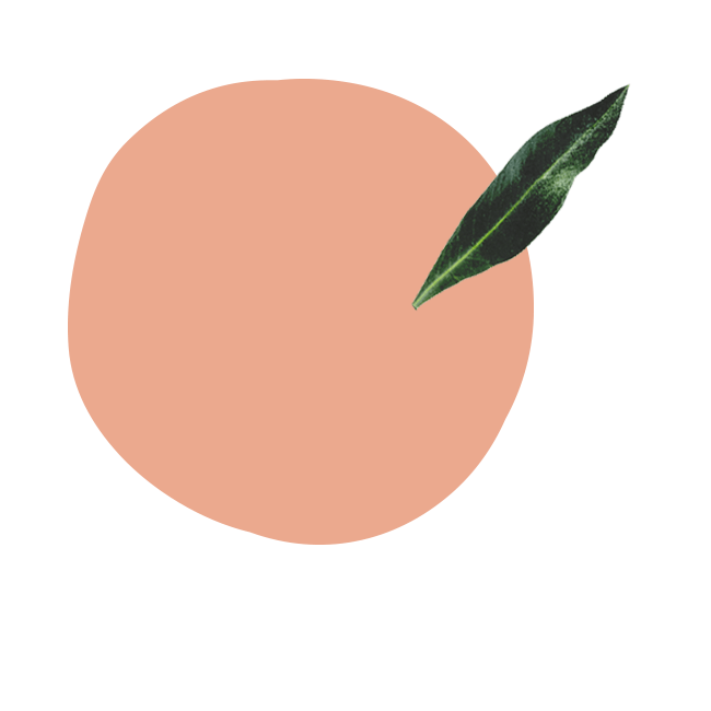 OliveOil