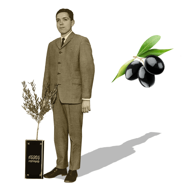 OliveOil