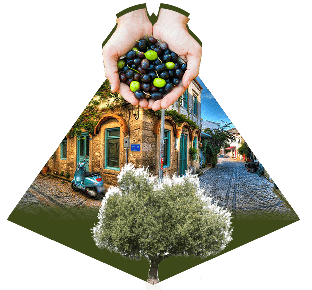 OliveOil